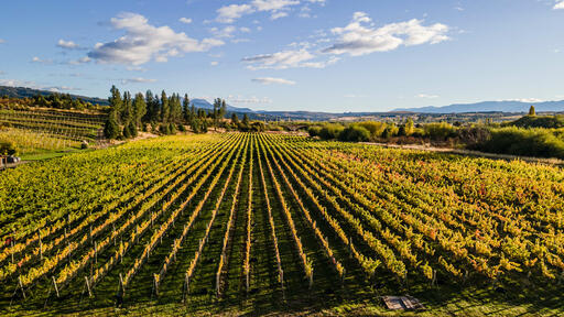 Contra Corriente Bodega Image