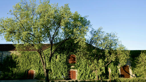 Beaulieu Vineyard Image