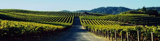 Pride Mountain Vineyards Image