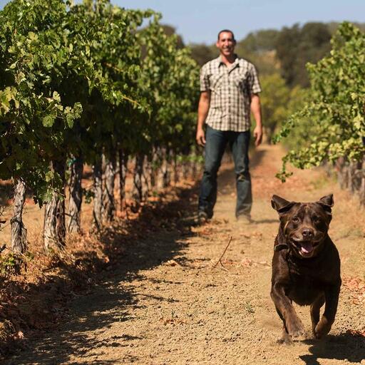 Pope Valley Winery Image