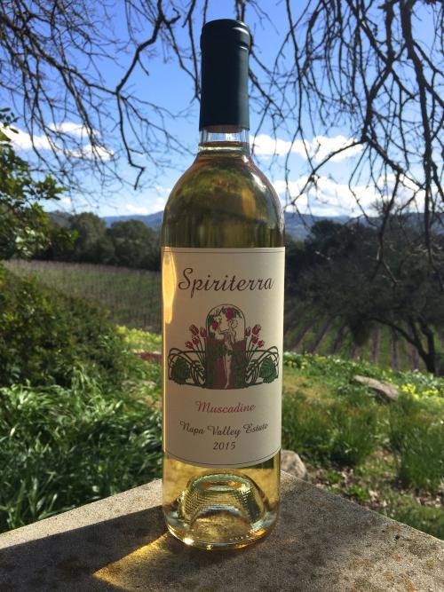 Spiriterra Vineyards Muscadine Bottle Preview