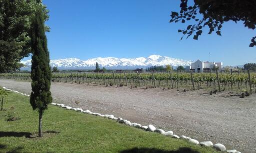 Finca Ambrosia Image