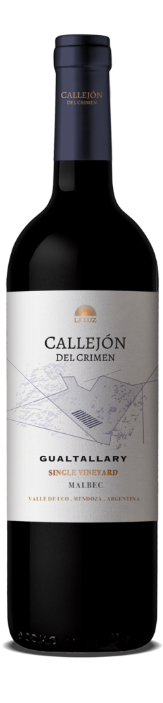 Vinos de La Luz Single Vineyard Gualtallary. Pure, crisp Malbec, full of textures. Bottle Preview