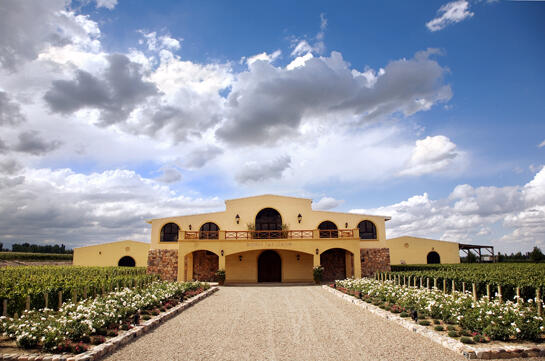 Bodega Piedra Negra Cover Image