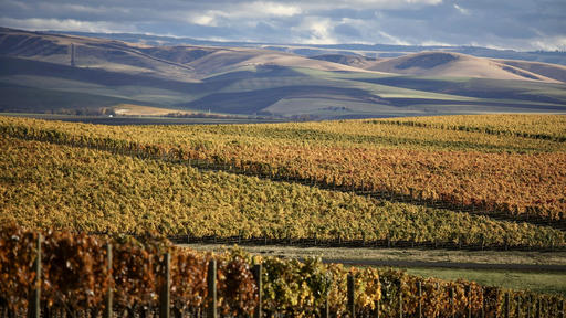 Sleight of Hand Cellars Image