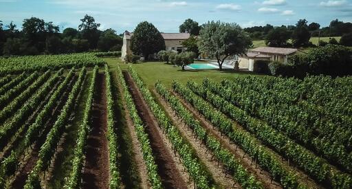 Domaine de Saint Amand Image