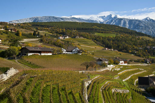 Köfererhof Image