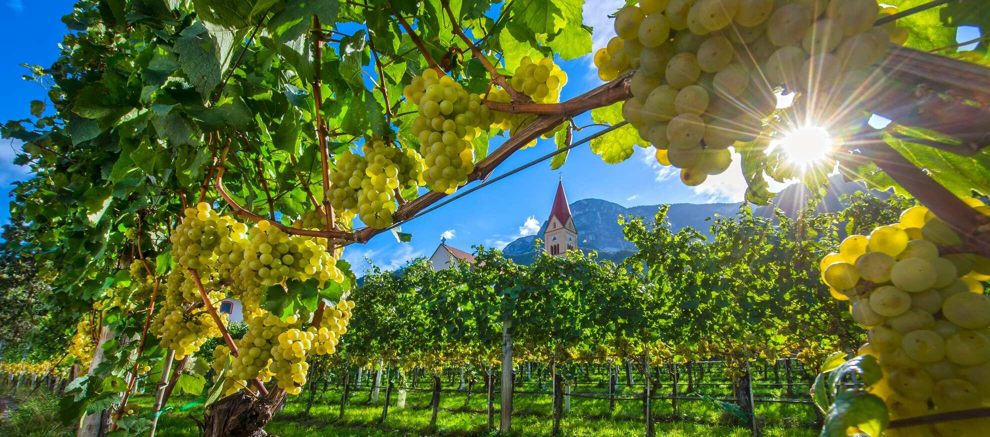 Cantina Andriano Cover Image
