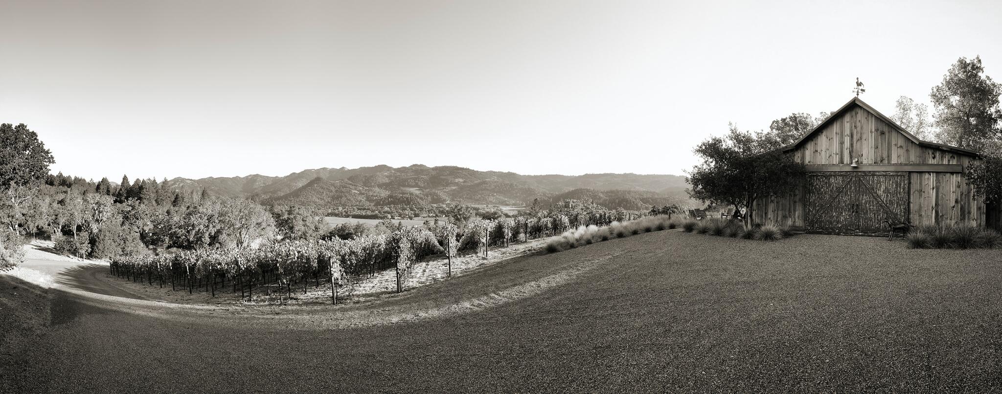 Fe Wines Cover Image
