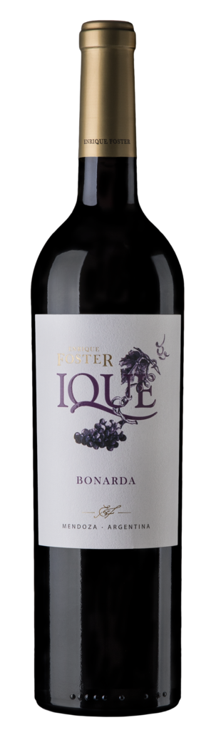Bodega Foster Lorca Enrique Foster Ique Bonarda Bottle Preview