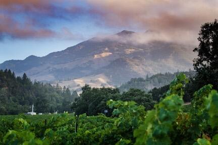 Markham Vineyards Image