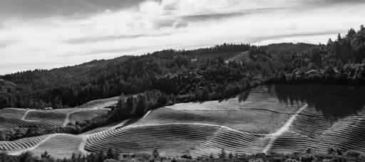 Freedom Estate Image
