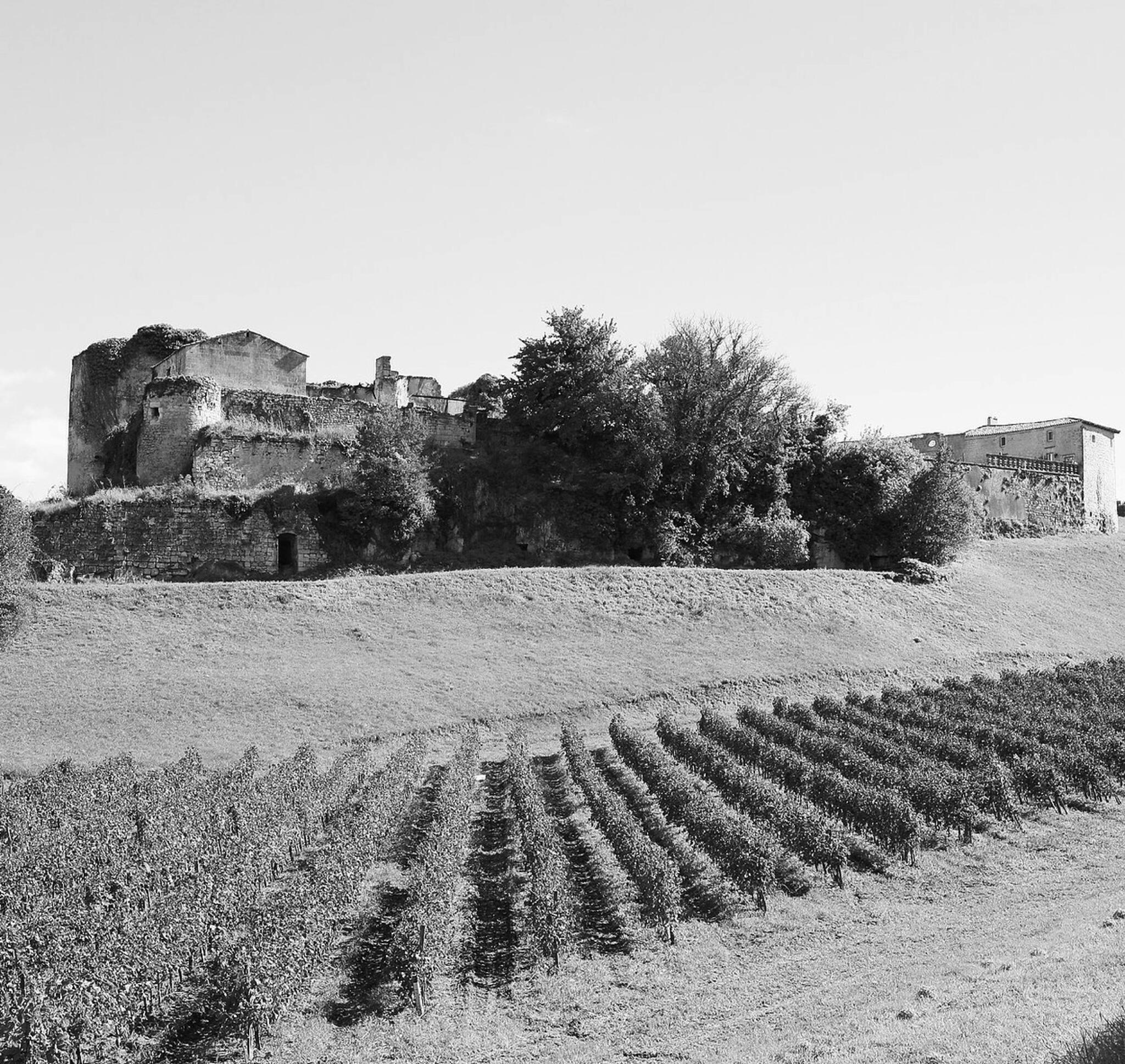 Vignobles Albert Schweitzer Cover Image