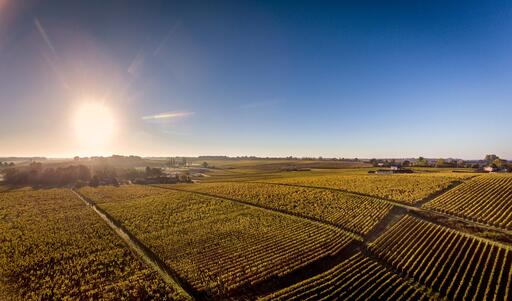 Clos Haut-Peyraguey Image