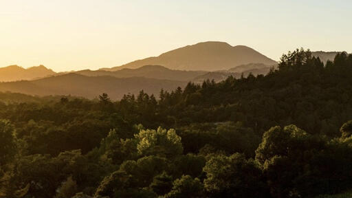 Boeschen Vineyards Image
