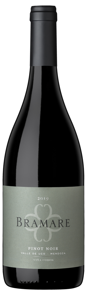 Viña Cobos Bramare Pinot Noir Valle de Uco Bottle Preview