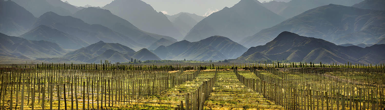 Alpasión Cover Image