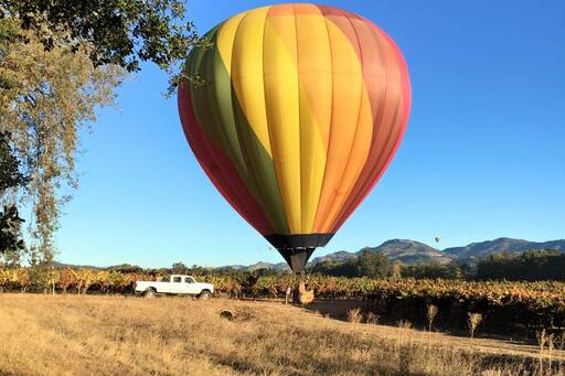 Boyd Family Vineyards Image