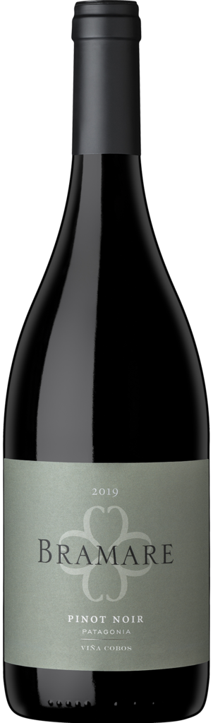 Viña Cobos Bramare Pinot Noir Patagonia Bottle Preview