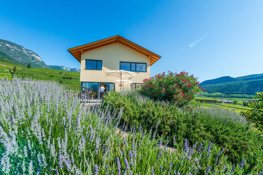 Rösslhof Image