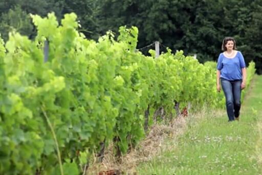 Château la Levrette Image