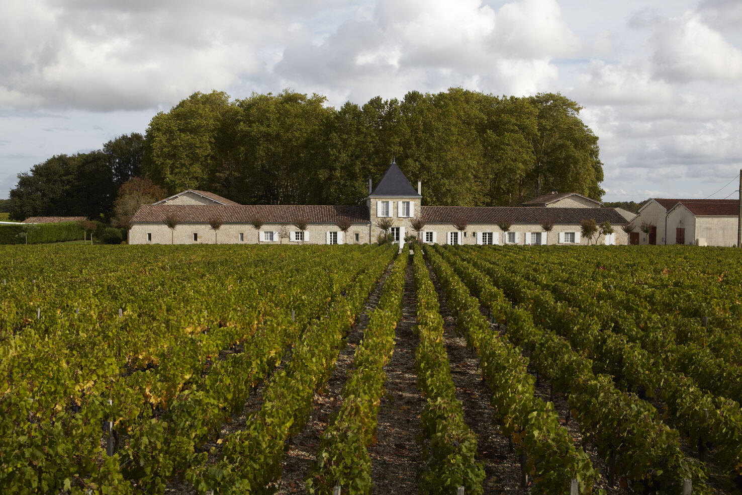 Château de Panigon and Château Amour Cover Image