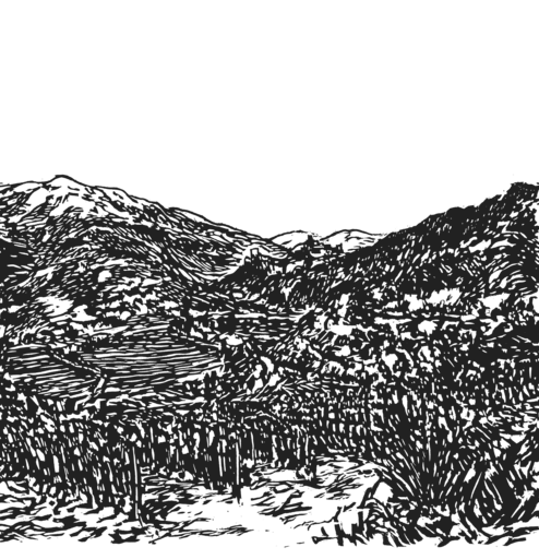 Egger-Ramer Image