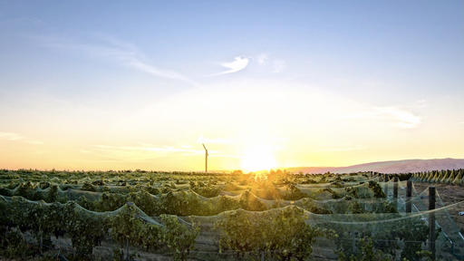 Tertulia Cellars Image