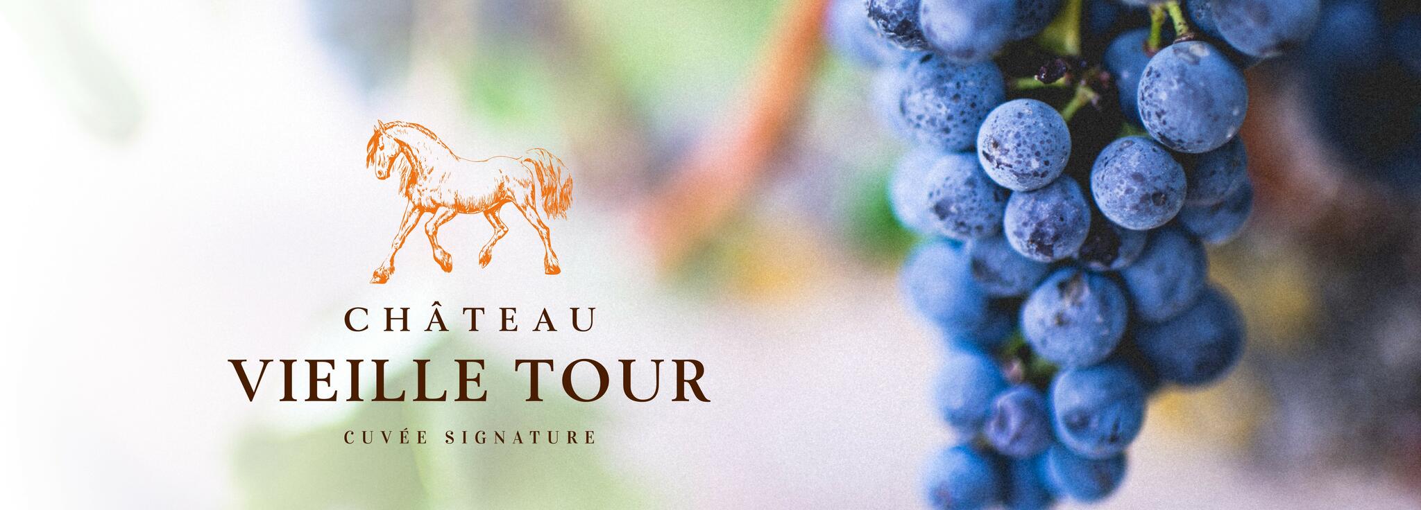 Château Vieille Tour Cover Image