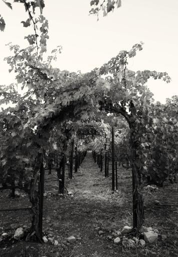 Hourglass Wine Co. Image