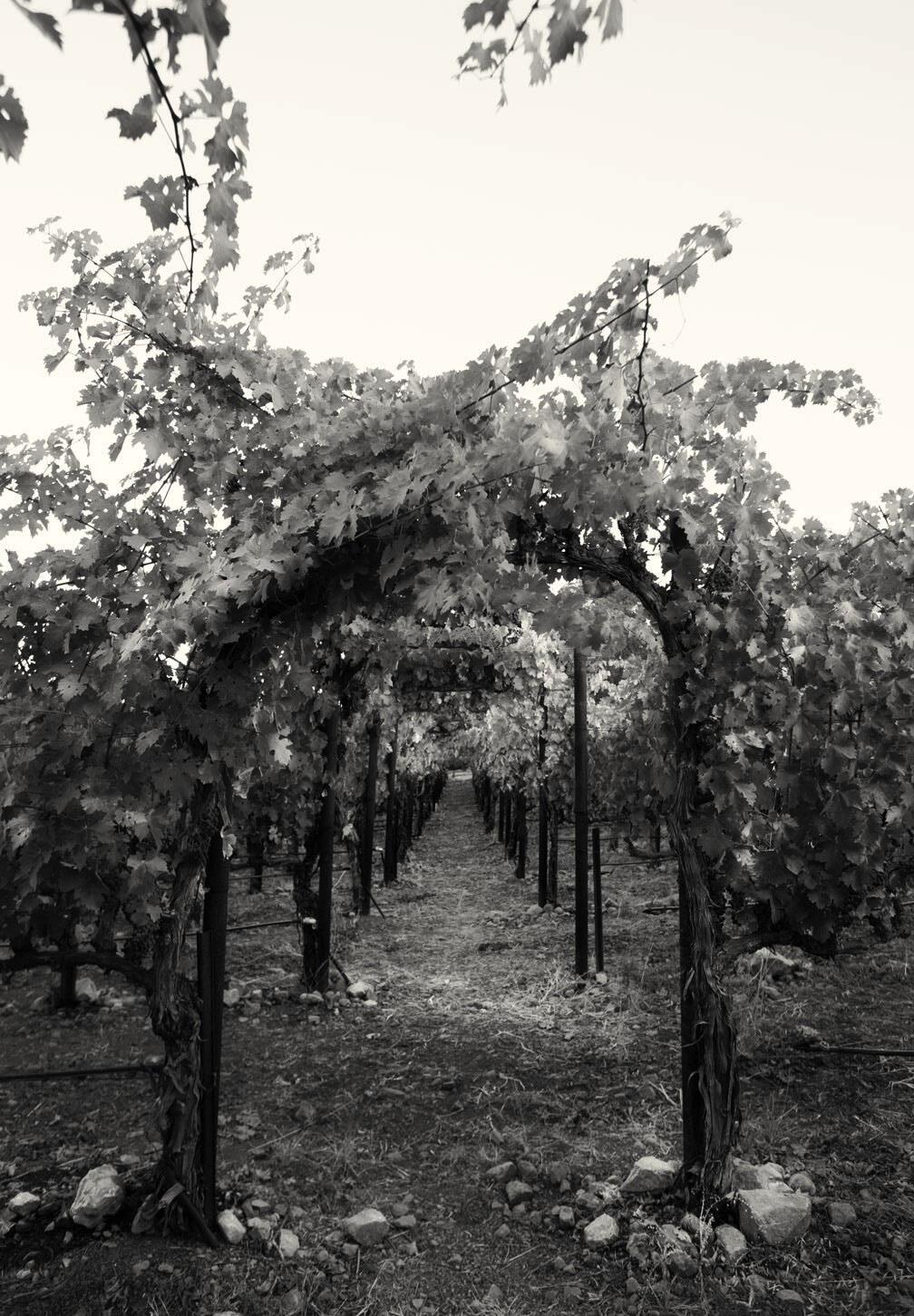 Hourglass Wine Co. Cover Image