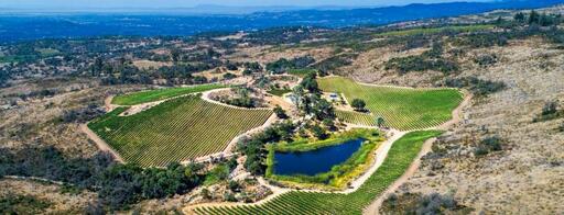 Hesperian Wines Image
