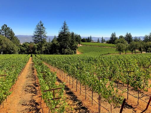 Lamborn Family Vineyards Image