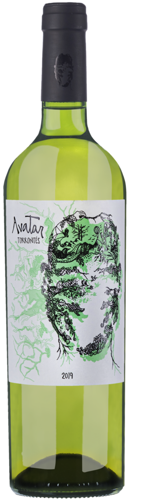 Casir dos Santos Avatar Torrontés Bottle Preview