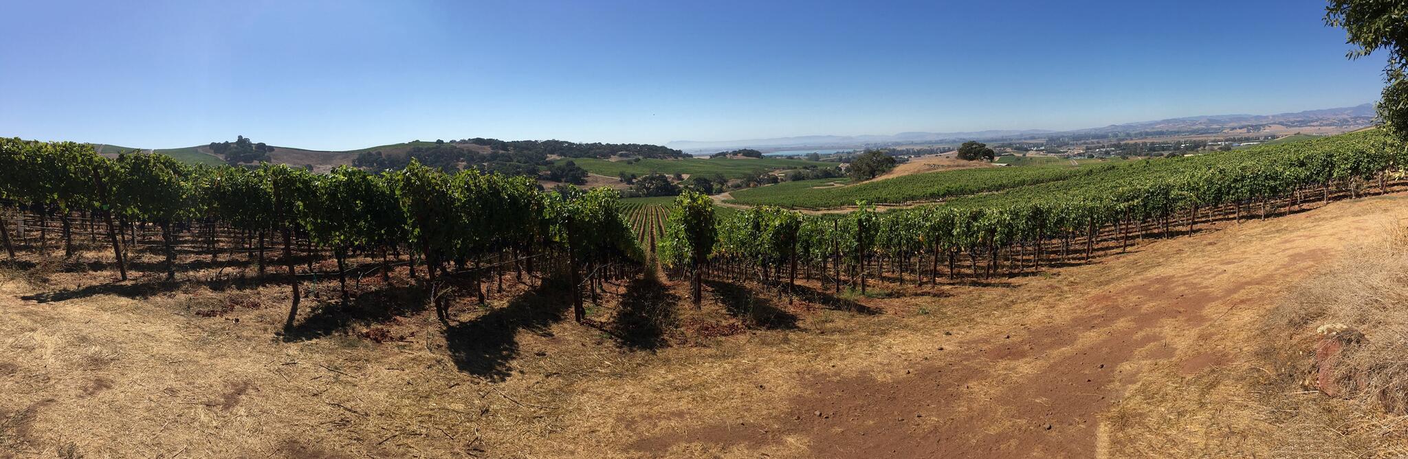 Lang & Reed Napa Valley Cover Image