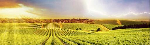 Coup De Foudre Winery Image