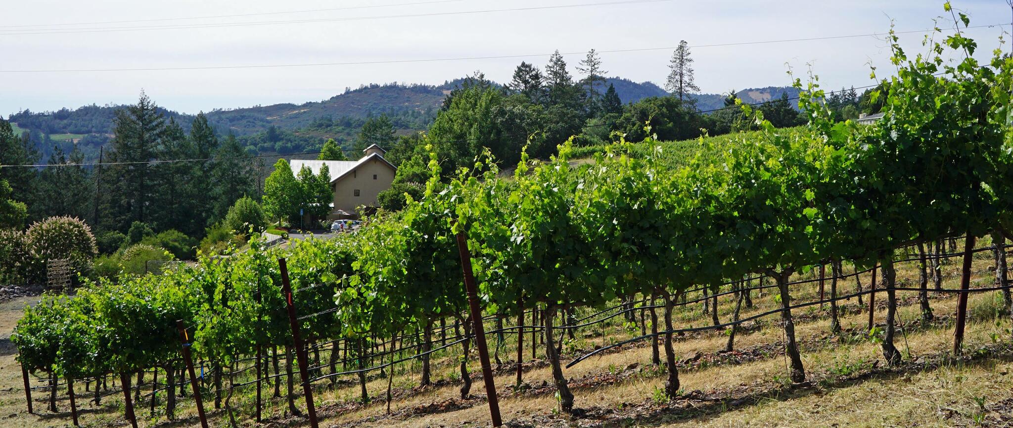 Bravante Vineyards Cover Image