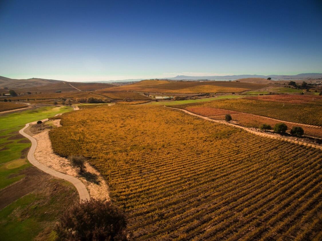 Levendi Winery Cover Image