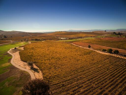Levendi Winery Image