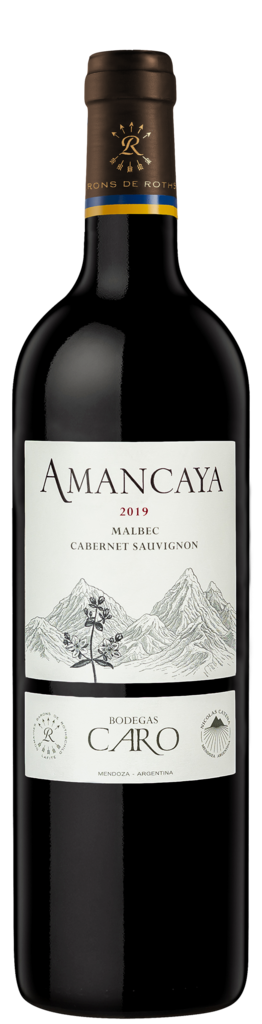 Bodegas CARO Amancaya Bottle Preview