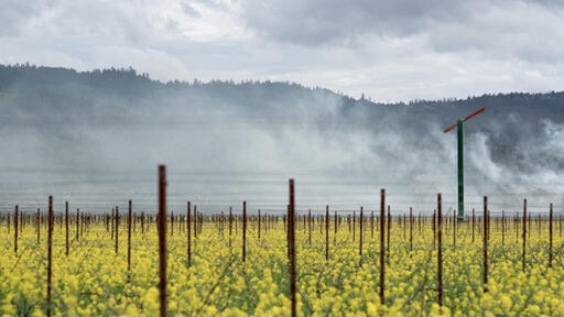 Larkmead Vineyards Image