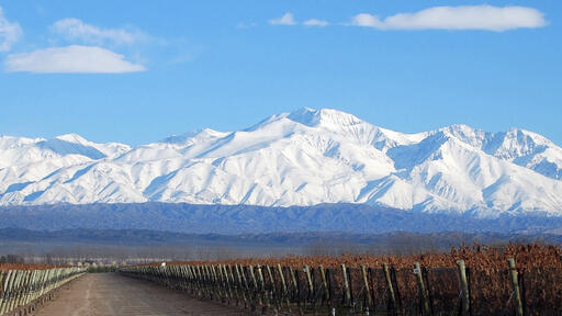 Bodega Laderas de Los Andes Image