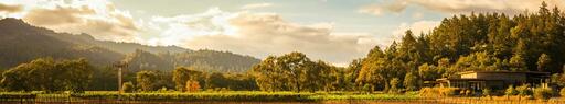 Titus Vineyards Image