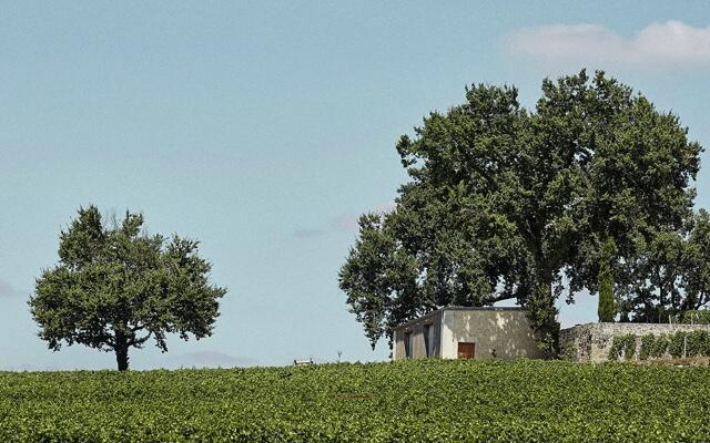 Château Beusejour Héritiers Duffau-Lagrrosse Cover Image