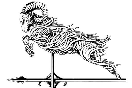 WindVane Image