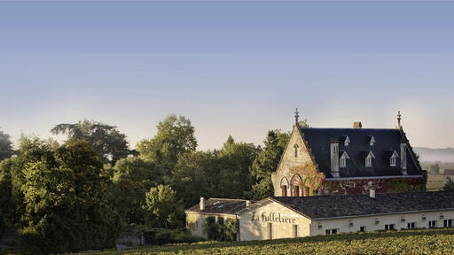 Château La Gaffelière Image