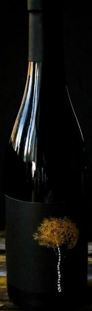 Elephant Seven Anita Syrah Bottle Preview