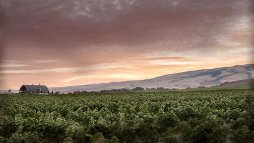 Garrison Creek Cellars Image