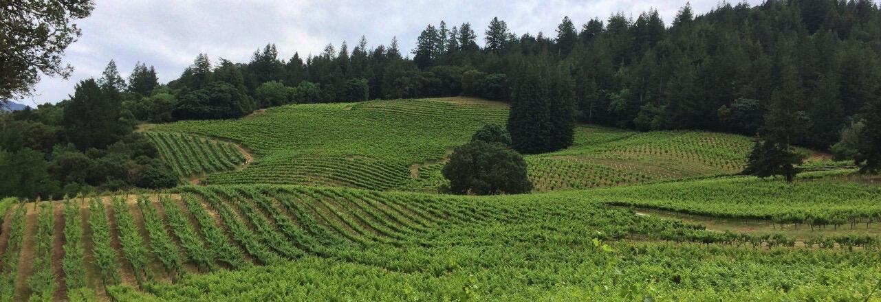 Storybook Mountain Vineyards Cover Image