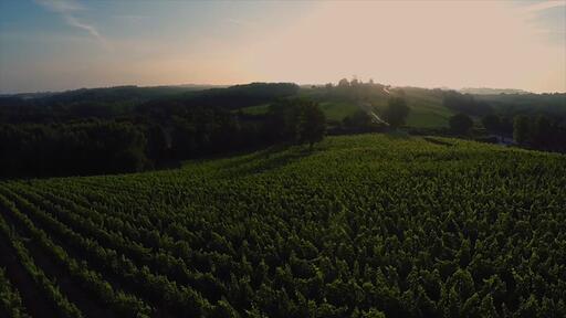 Château Sainte Marie Image